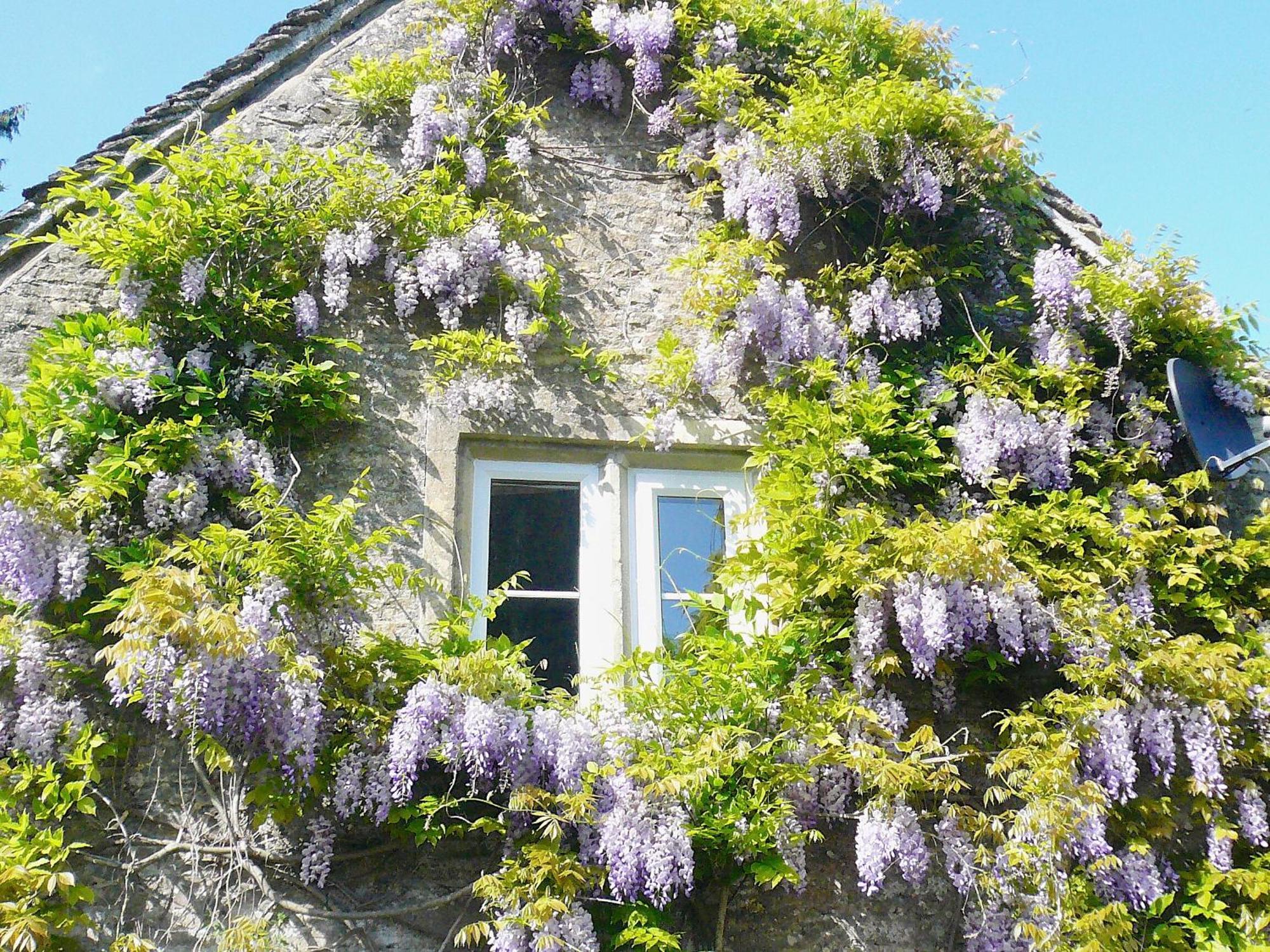 Ivy Cottage Chedworth Exterior photo